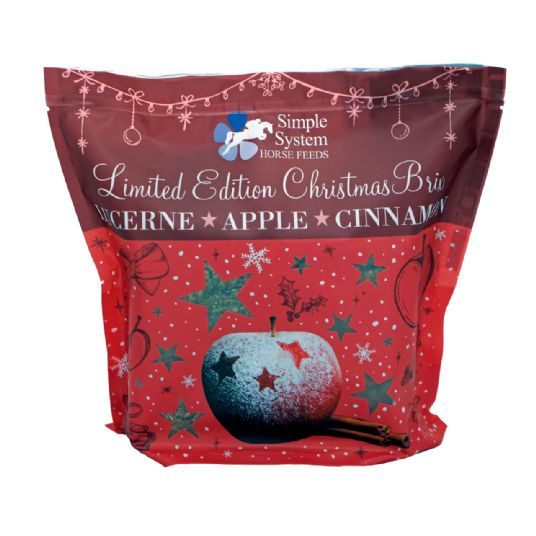 Christmas Brix
